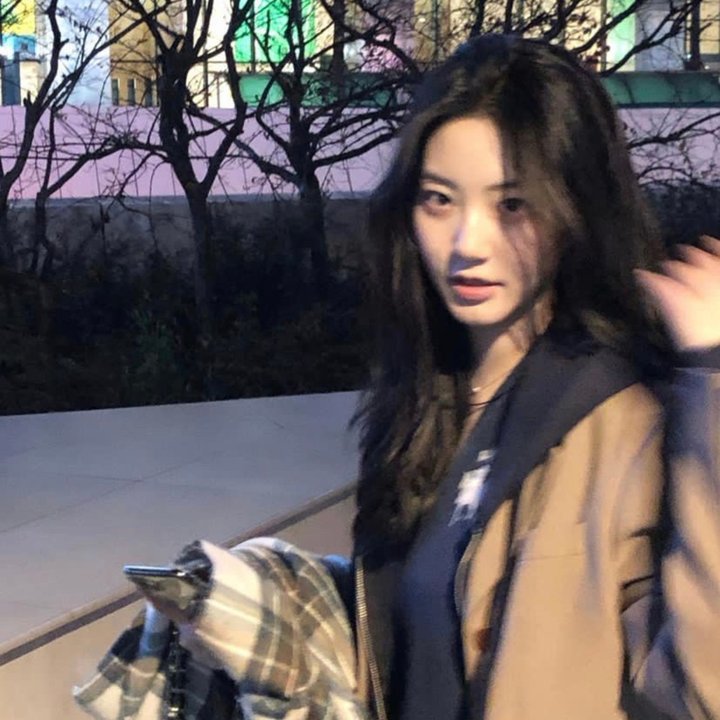 缉拿杨枪枪